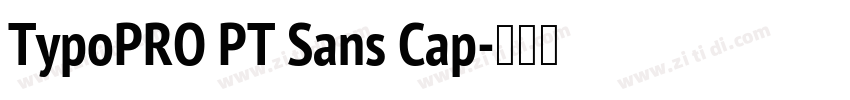 TypoPRO PT Sans Cap字体转换